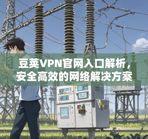 豆荚VPN官网入口解析,安全高效的网络解决方案