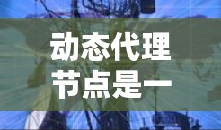 动态代理节点是一种在运行时动态生成代理类的技术,主要用于实现AOP(面向切面编程)以下是对动态代理节点的详细分析