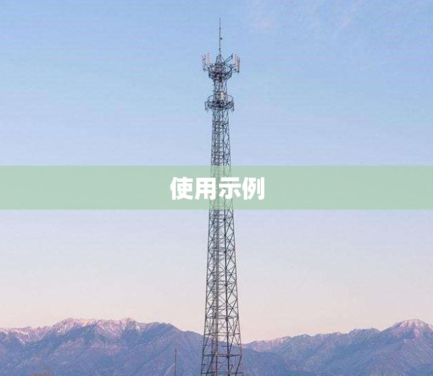 使用示例 使用示例