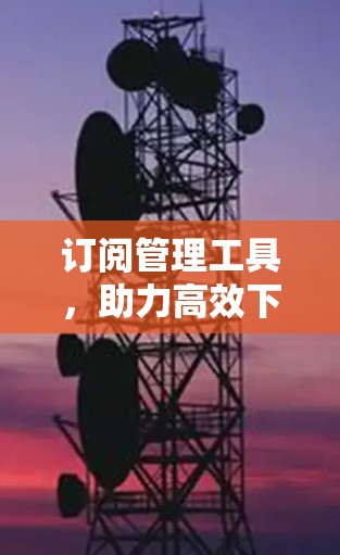 订阅管理工具，助力高效下载与管理