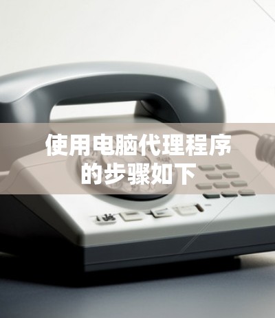使用电脑代理程序的步骤如下