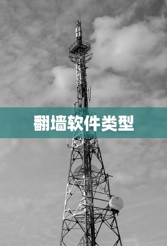 翻墙软件类型