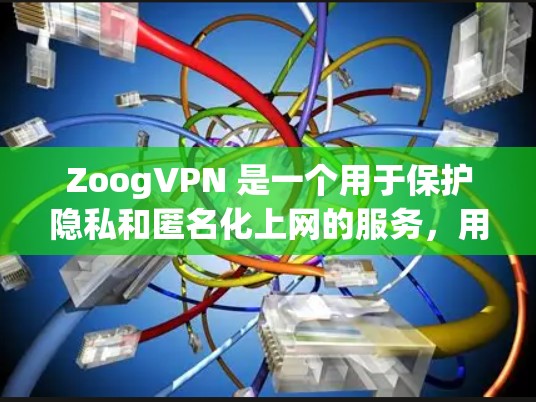 ZoogVPN 是一个用于保护隐私和匿名化上网的服务,用户可以通过其电脑应用程序进行安装和使用。以下是使用 ZoogVPN 的基本步骤