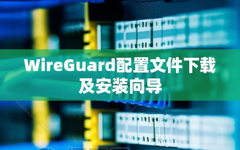 WireGuard配置文件下载及安装向导