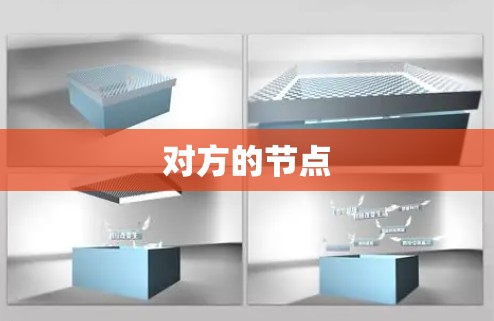 对方的节点