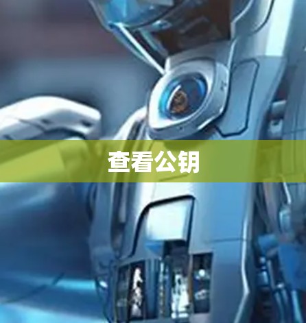 查看公钥