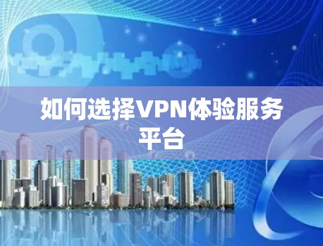 如何选择VPN体验服务平台